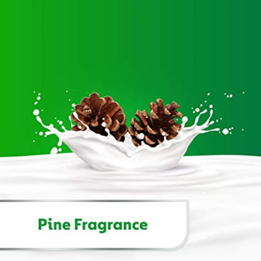 صابون-ديتول-الأصلي-بسعة-165-مل-لنظافة-فائقة-1